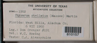 Image Associated With the Occurence